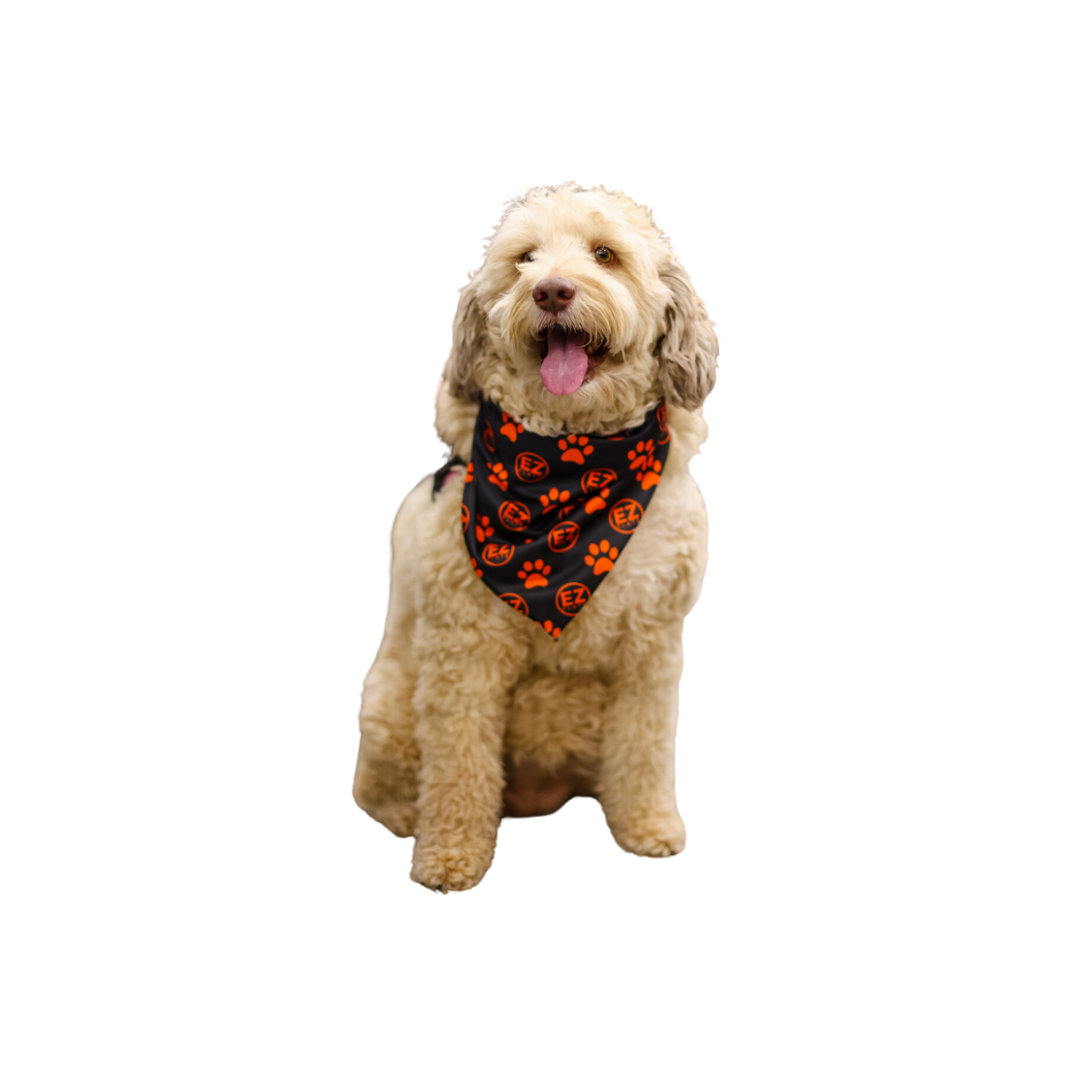 Dog Bandana