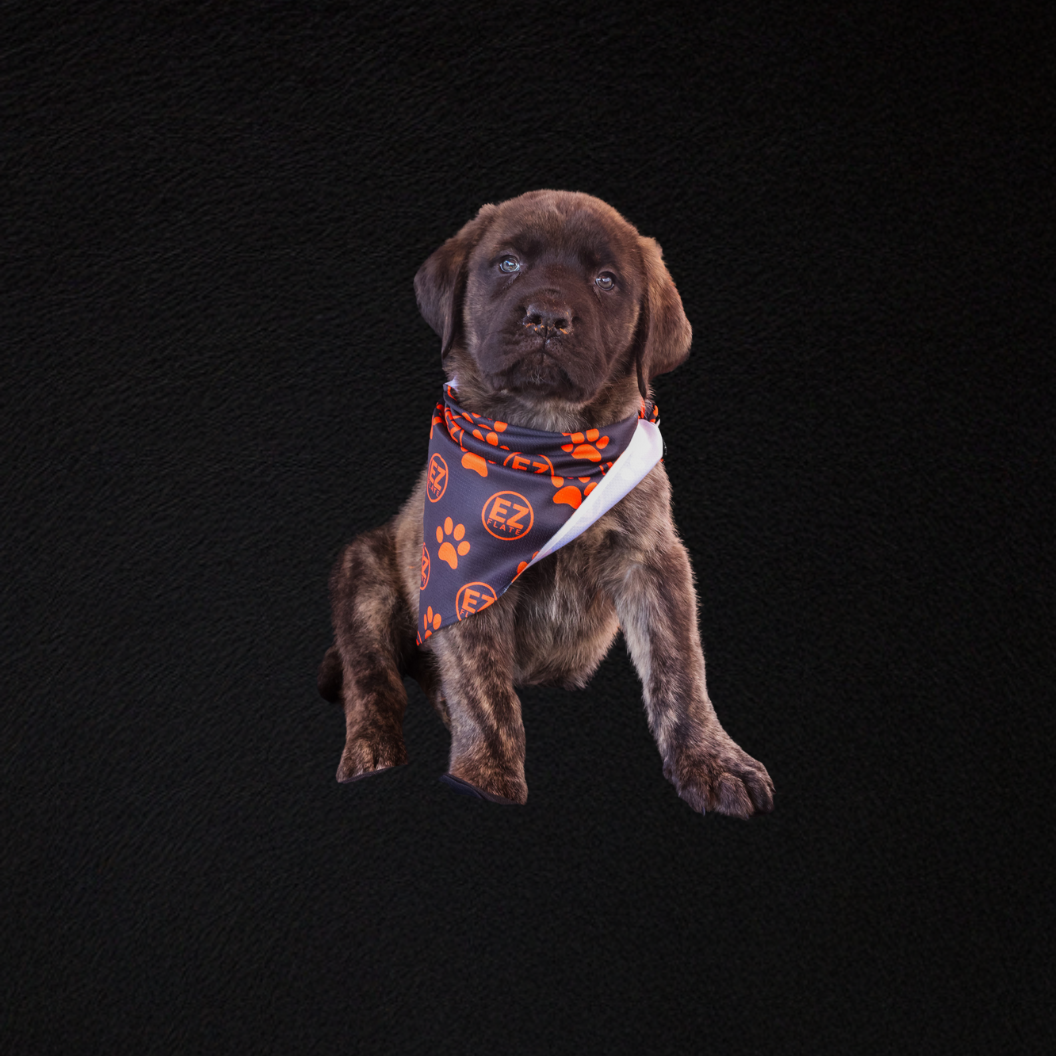 Dog Bandana